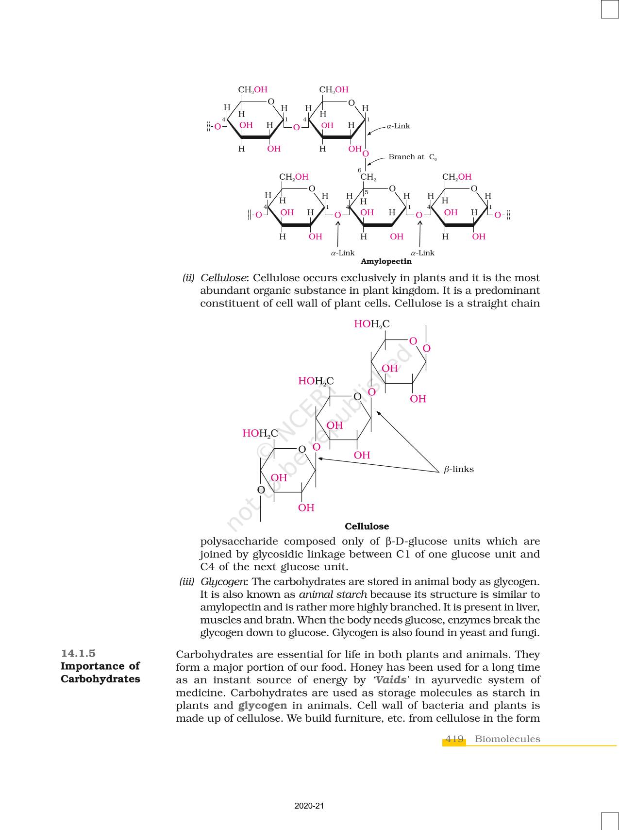 Biomolecules - NCERT Book Of Class 12 Chemistry Part II